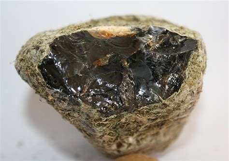 ambergris in tagalog
